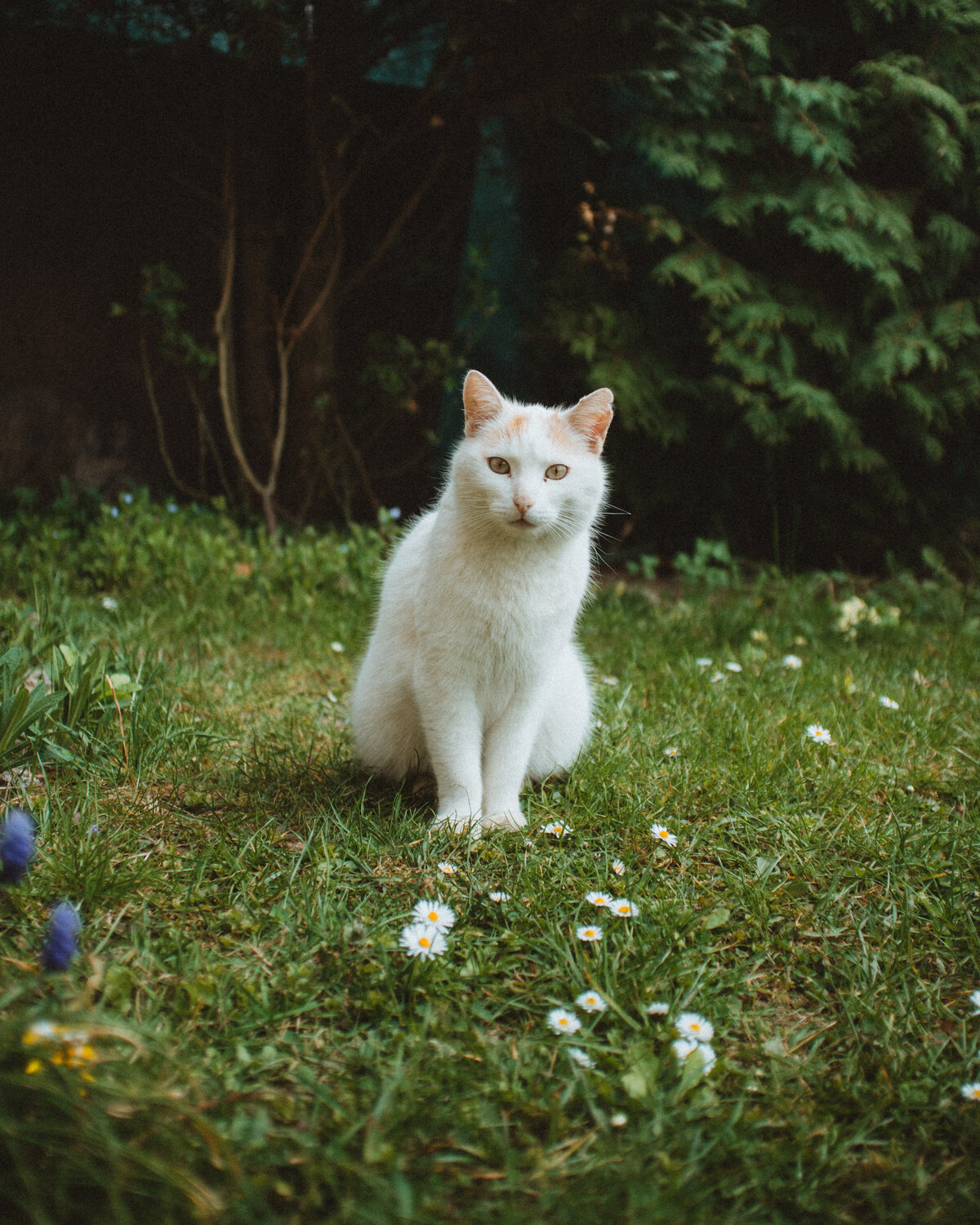 Photo #14043580