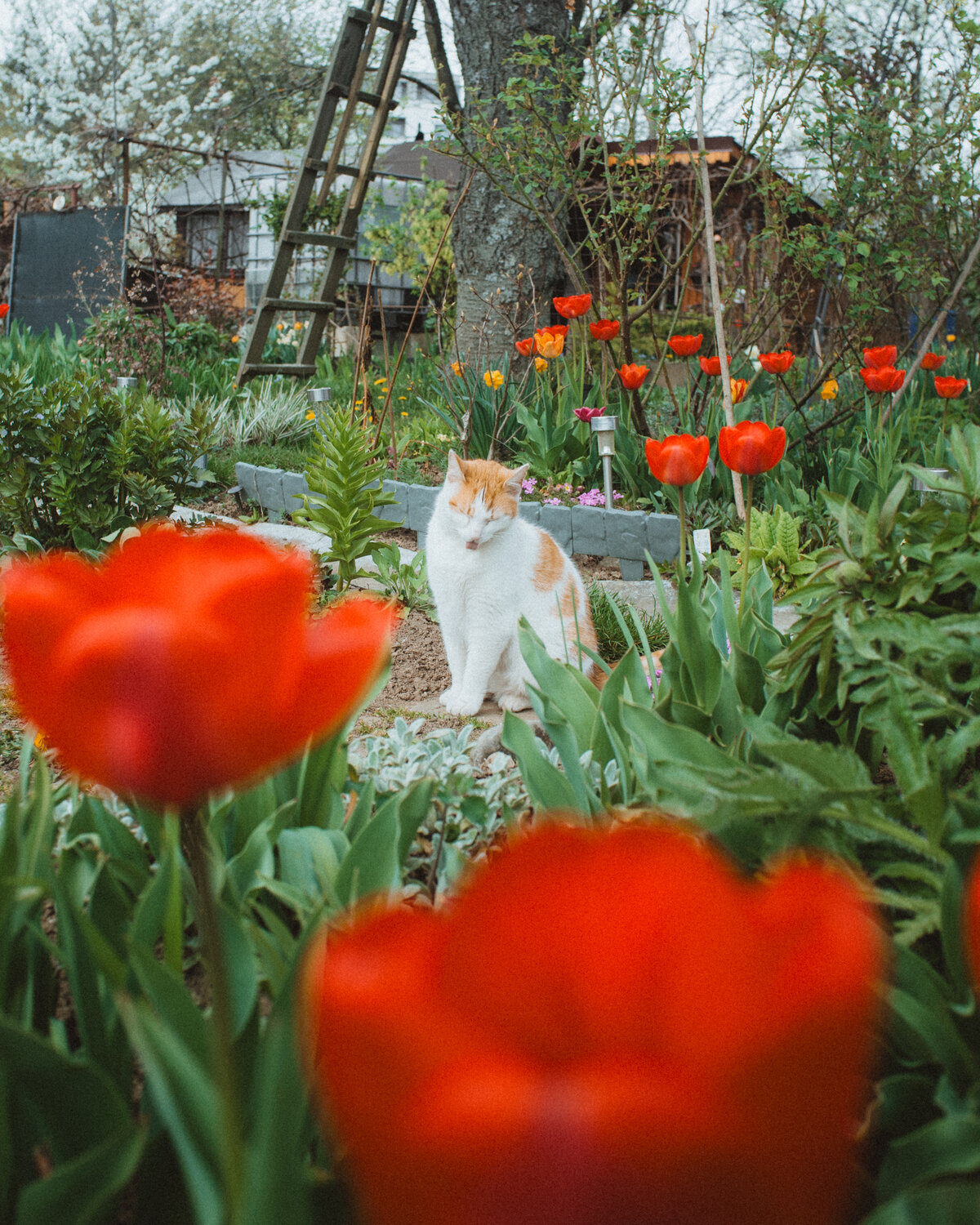 Photo #14043592