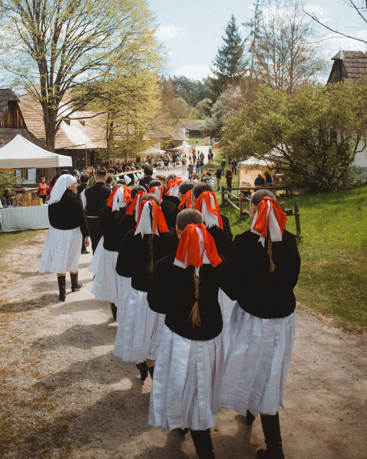 Photo #14043603