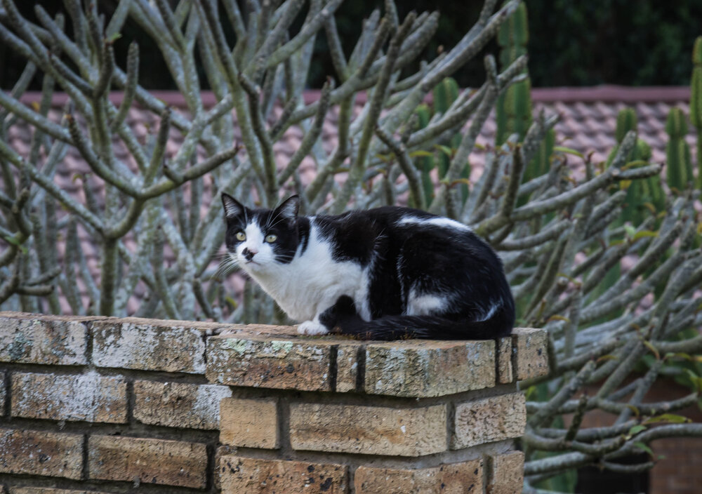 Photograph by Malinda Badenhorst