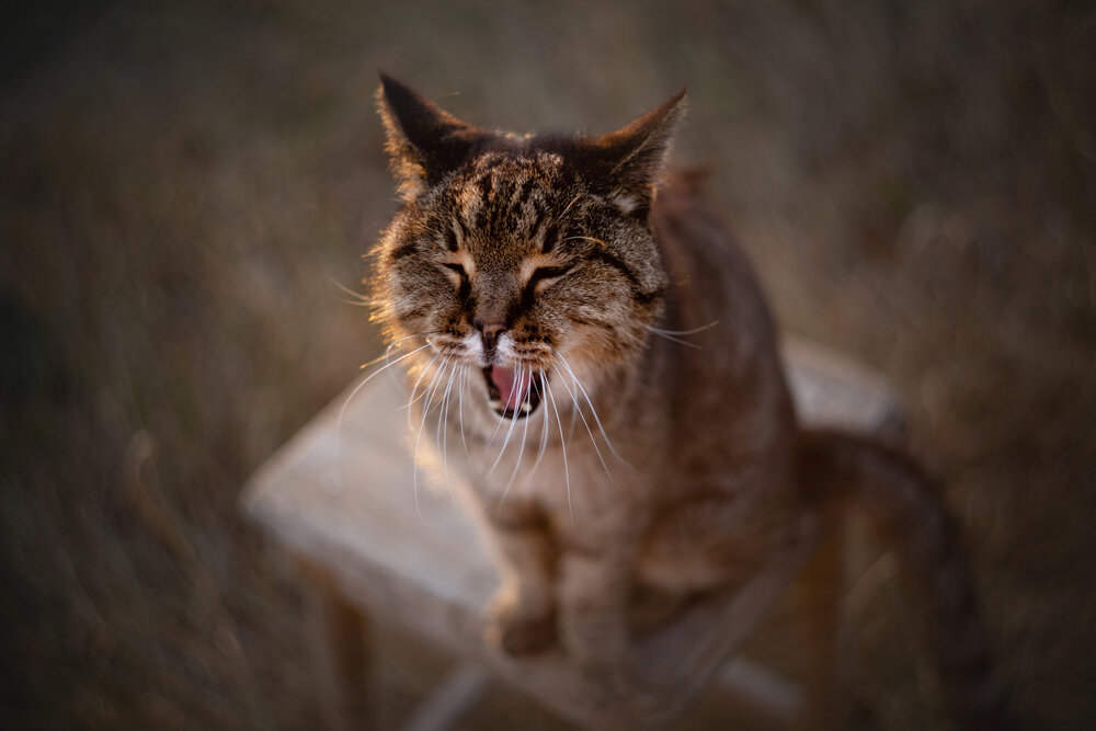 Photograph by Юлианна Митрофанова