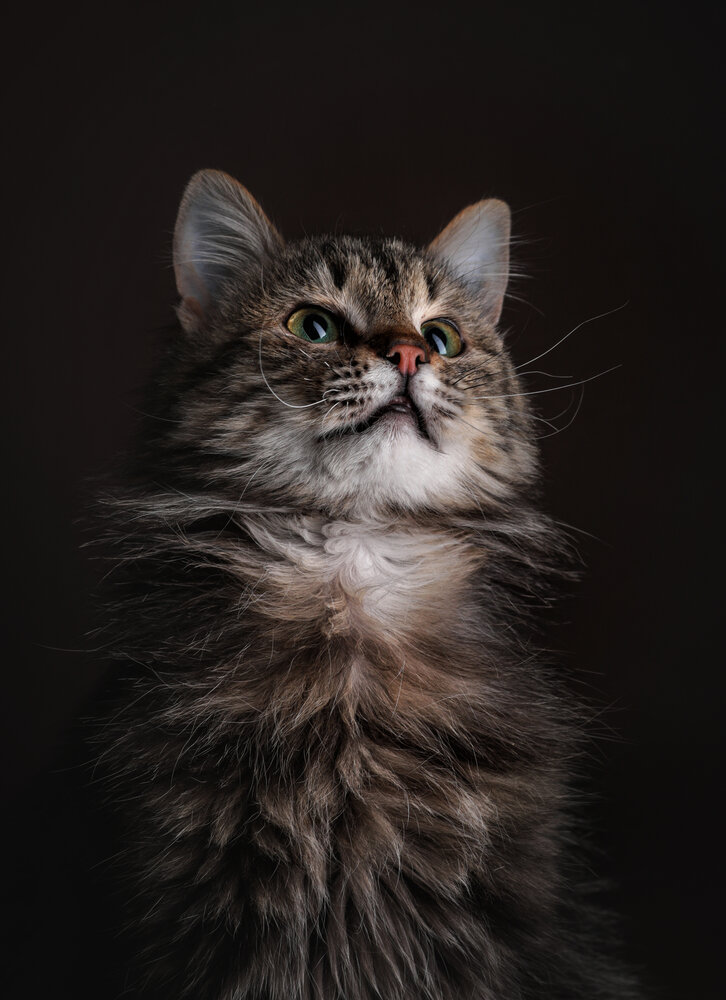 Photograph by Юлианна Митрофанова
