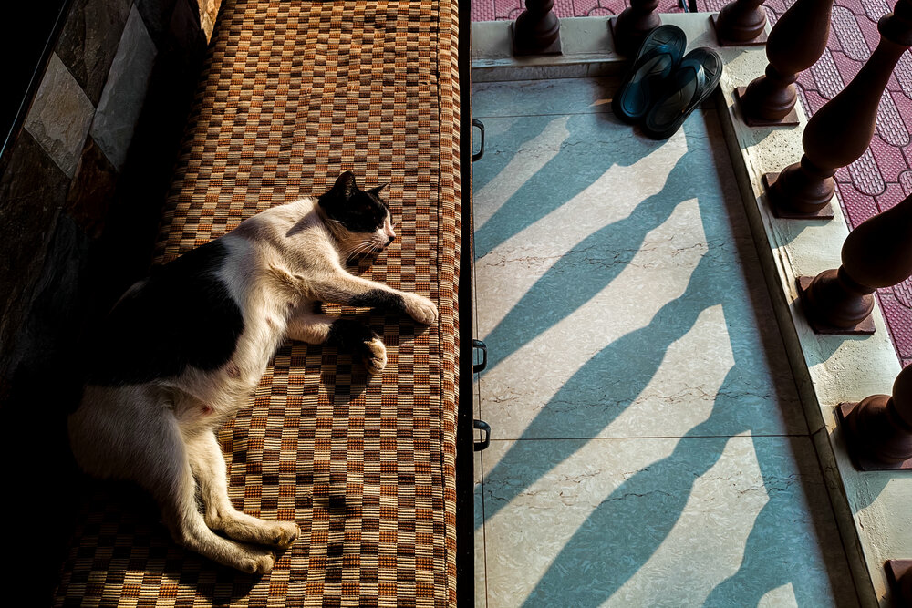 Photograph by Sayan Biswas