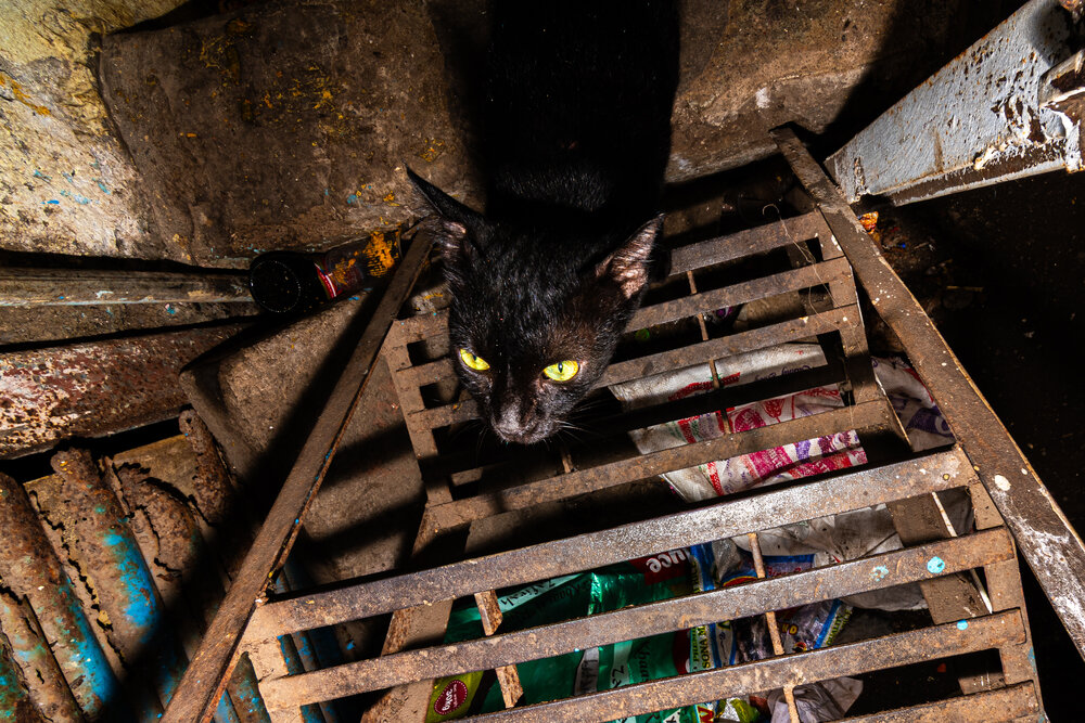 Photograph by Sayan Biswas