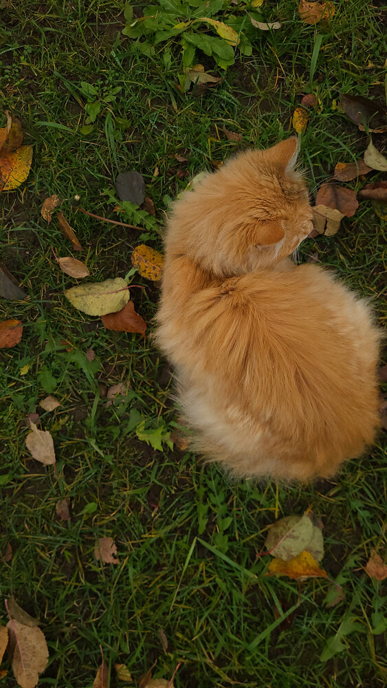 Photo #14043989