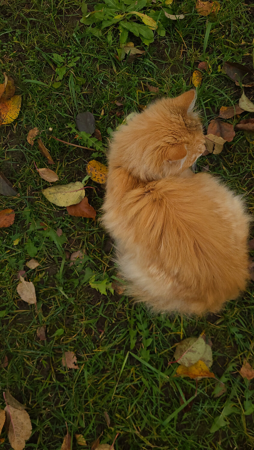 Photo #14043989
