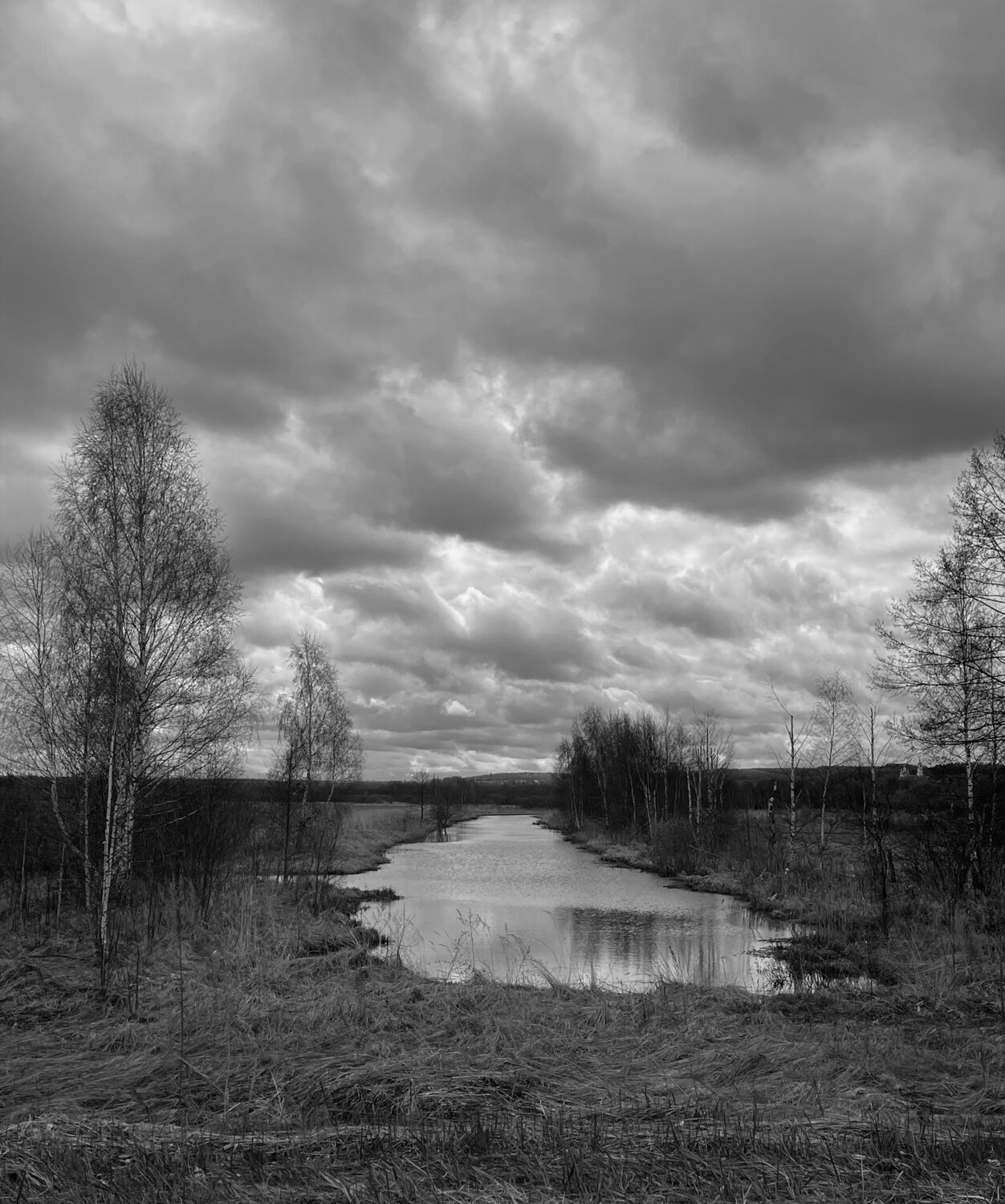 Photo #14043990