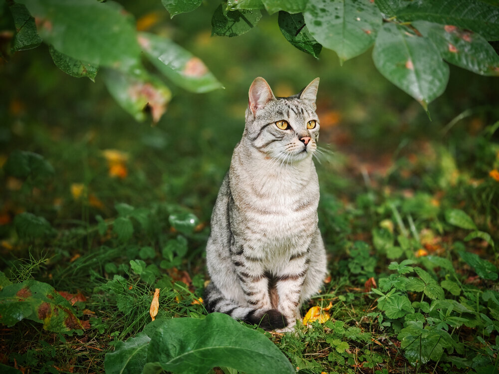 Photograph by Игорь Урывский