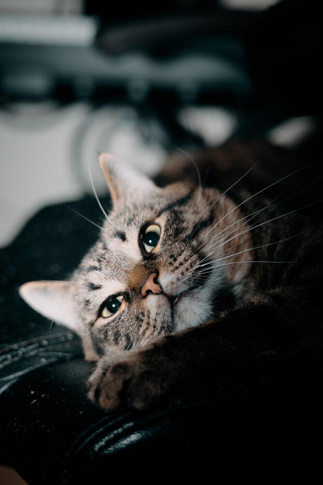 Photograph by Игорь Урывский