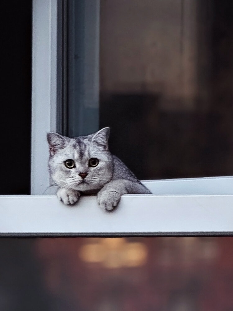 Photograph by Ольга Потачева