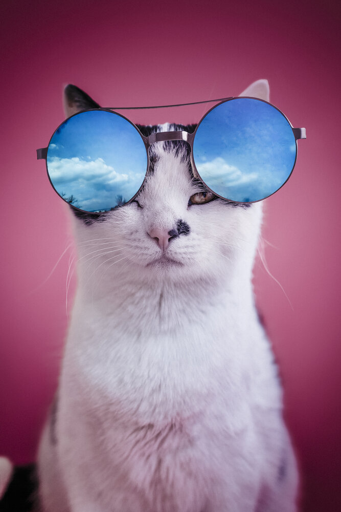 Photograph by Alexei Vladimir