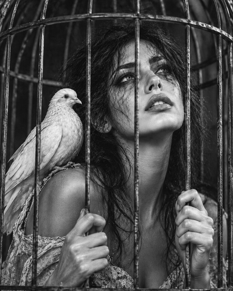 Фотография автора naser rezaeian
