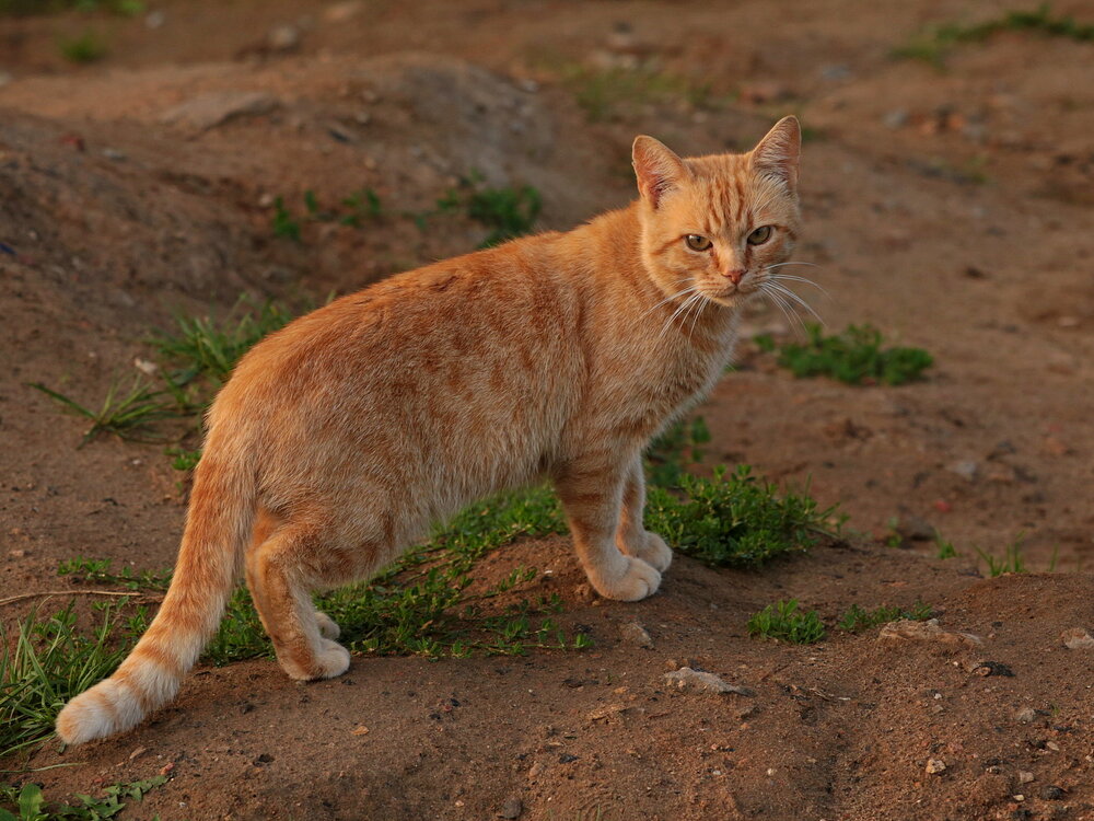 Photograph by Александр Кожевников