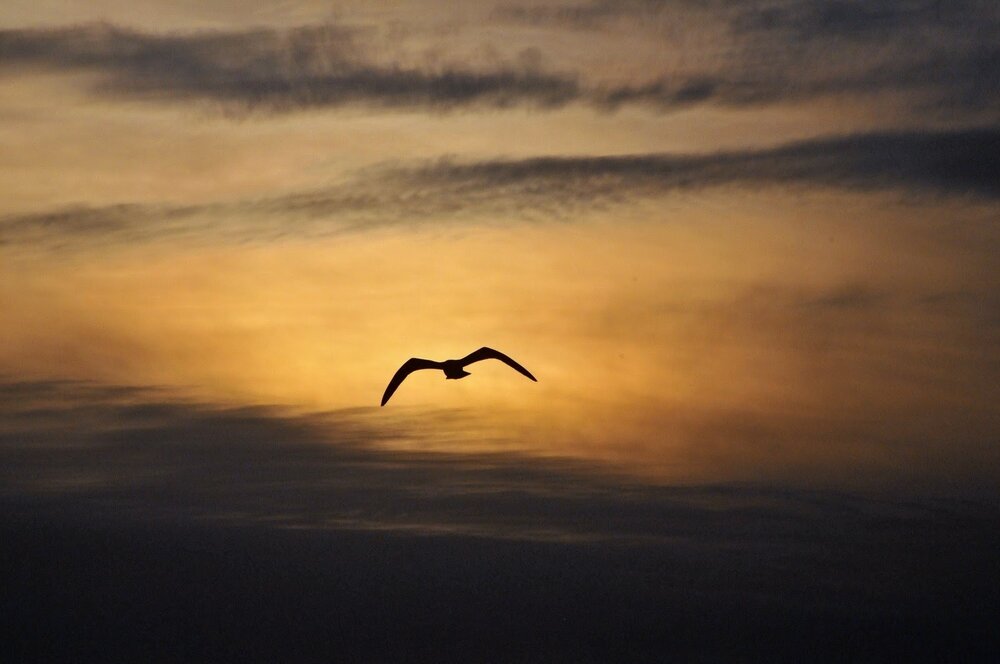 Photograph by Владислав Айзенберг