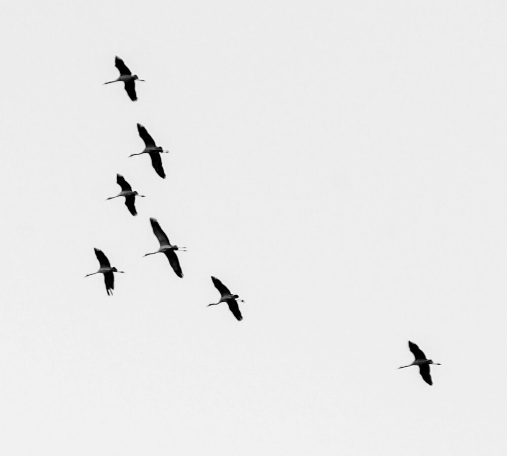 Photograph by Владислав Айзенберг