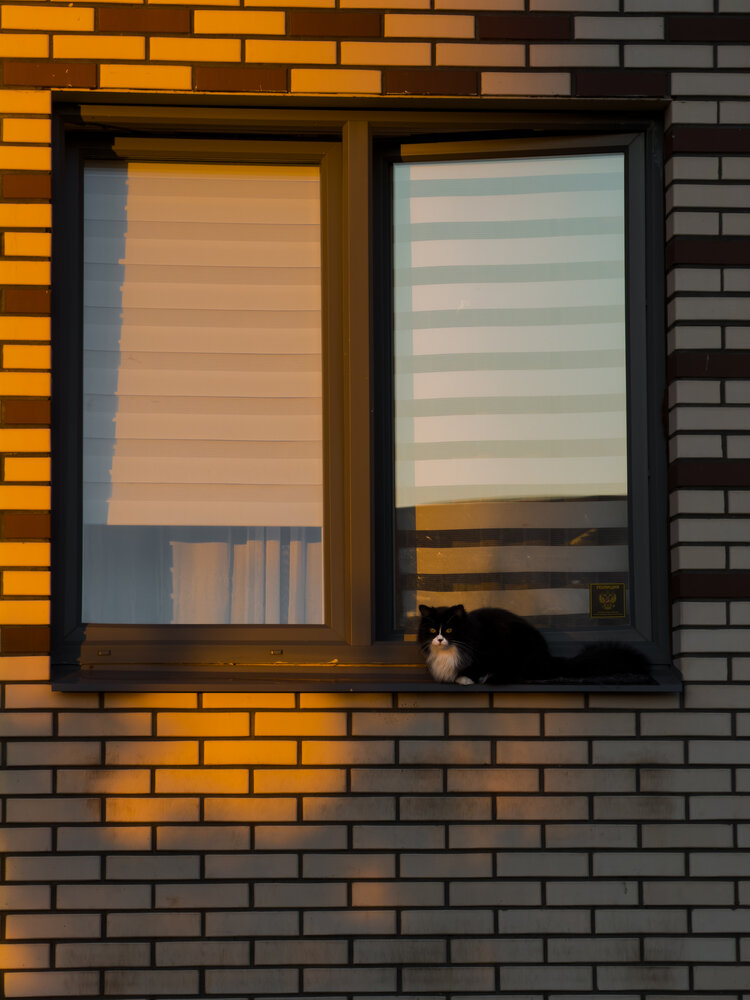 Photograph by Ася Жгенти