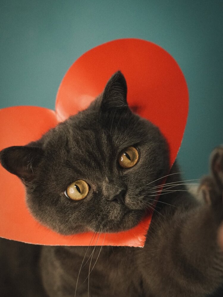 Photograph by Ирина Кочергина