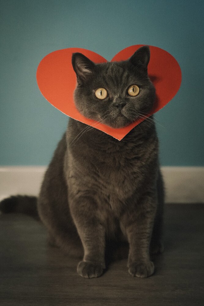 Photograph by Ирина Кочергина