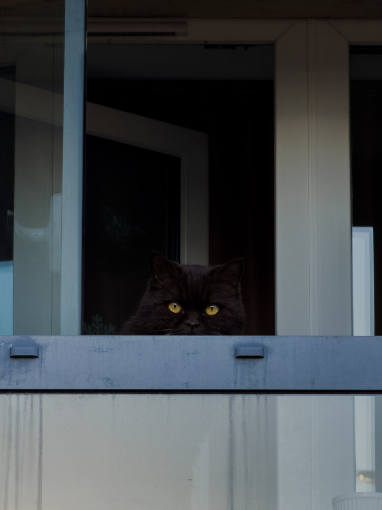 Photograph by Ася Жгенти