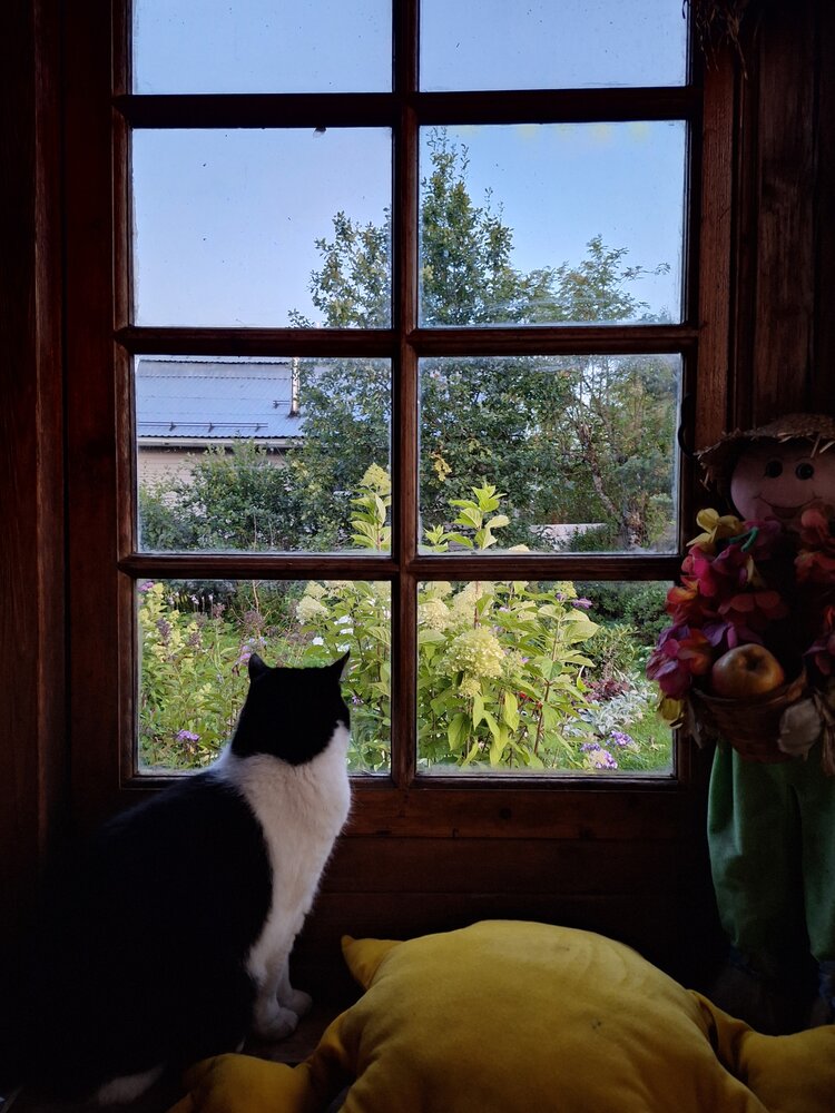 Photograph by Ольга Мольдон