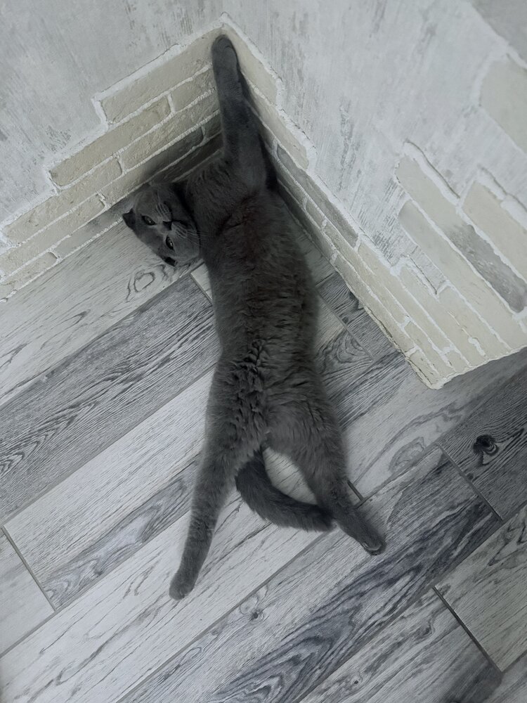 Photograph by Анна Гусева