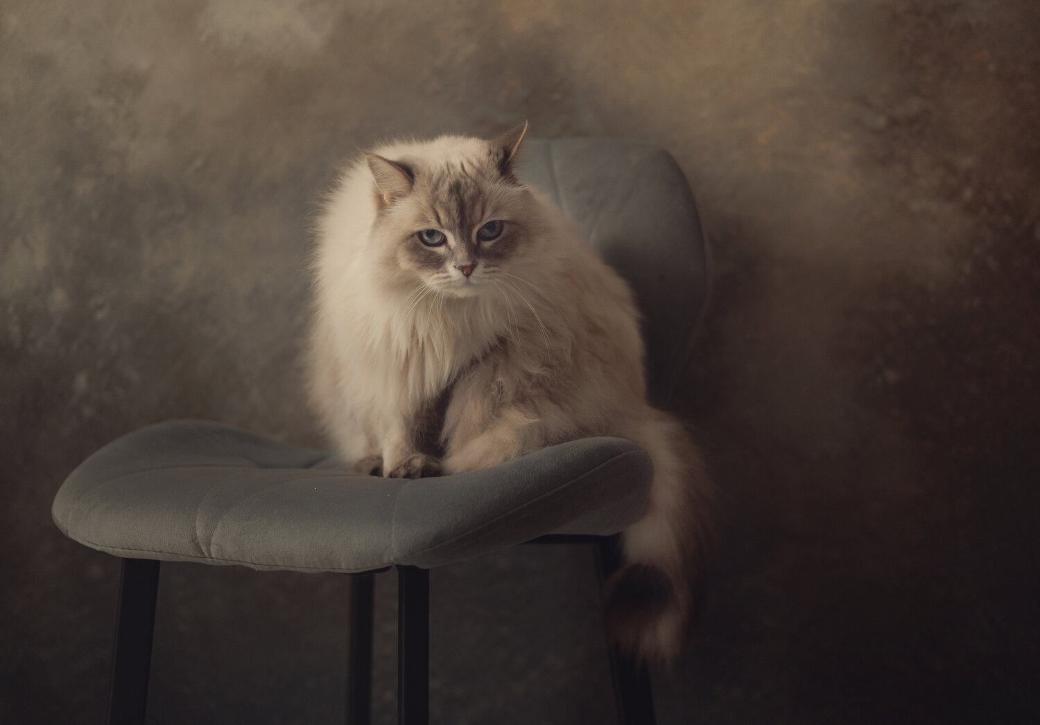 Photo #14044436