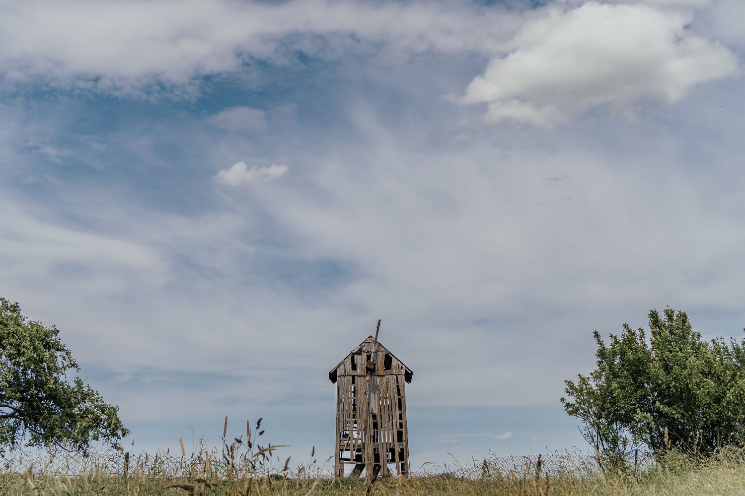 Photo #14044602