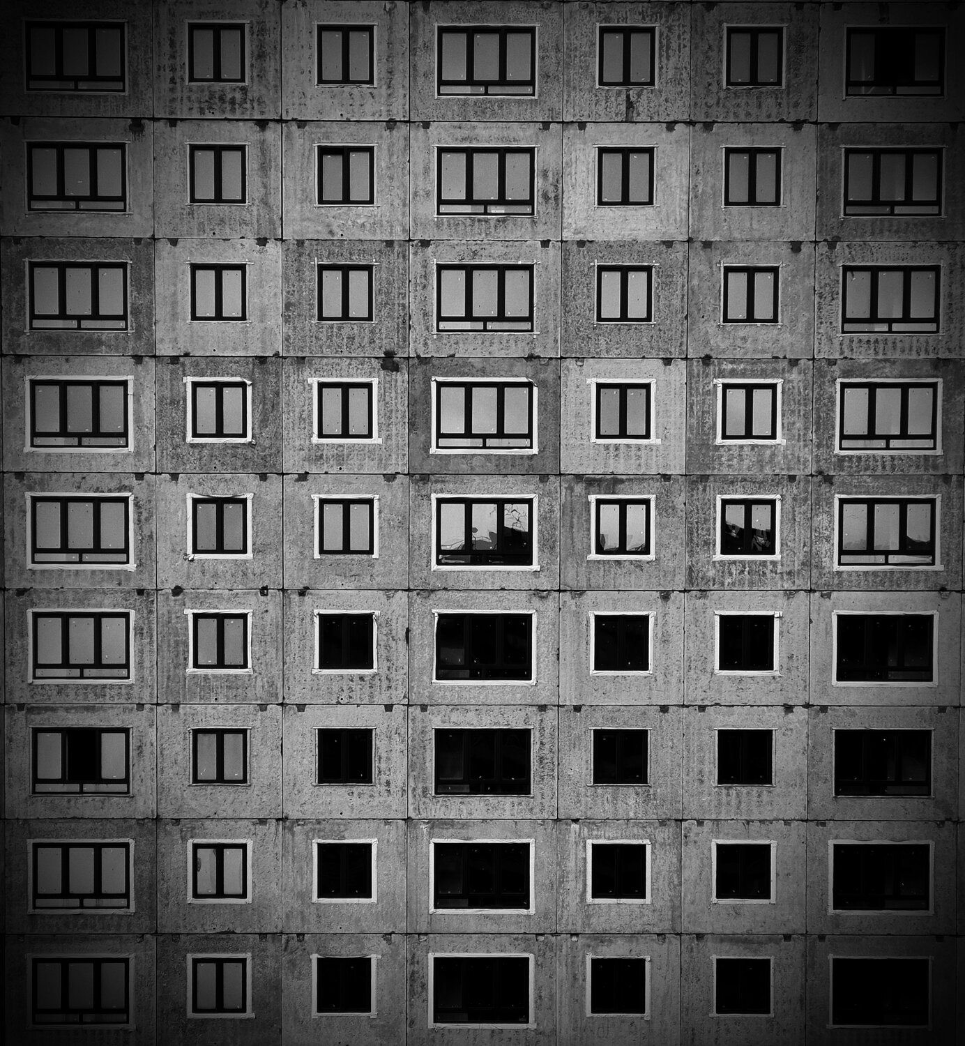 Фотография #14044607