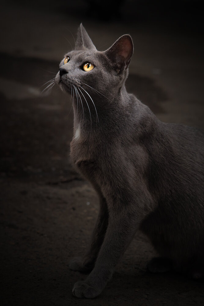 Photograph by mohsen biazar