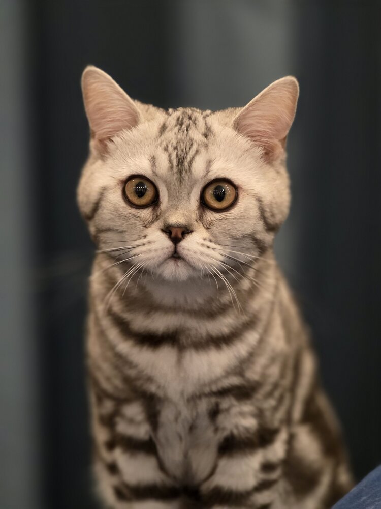Photograph by Андрей Пуртов