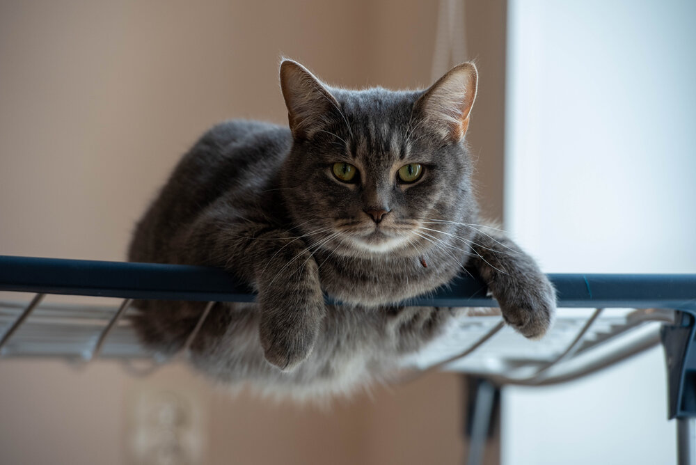Photograph by Сергей Чесноков