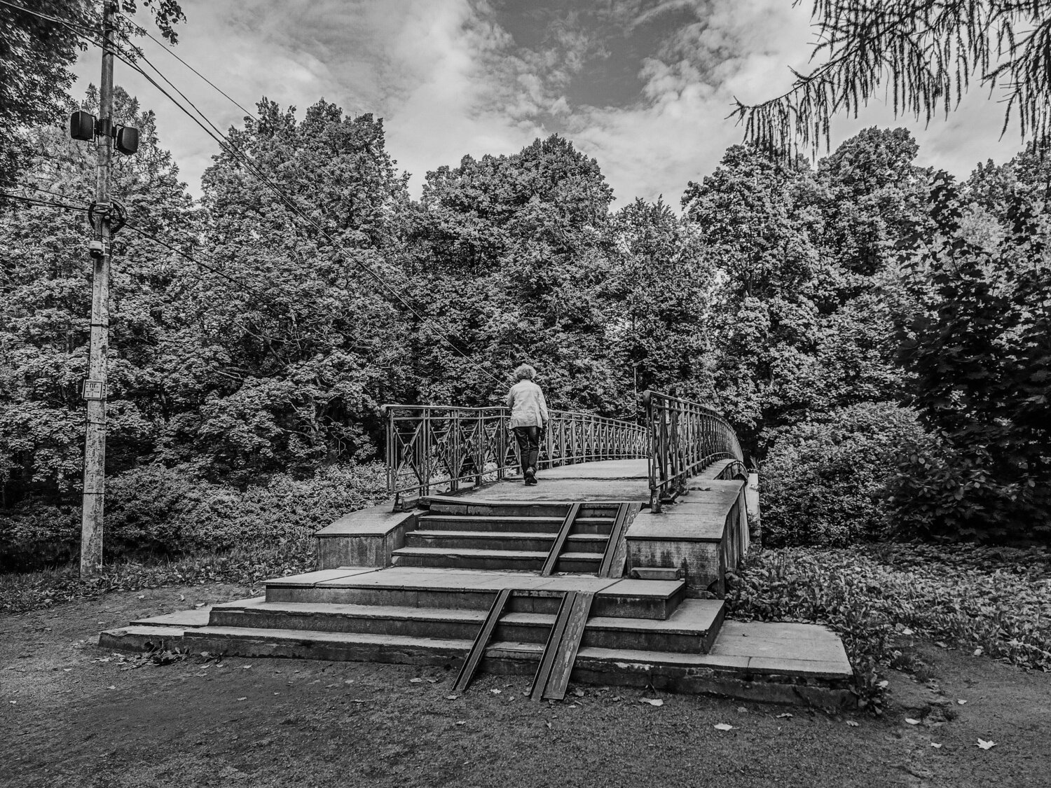 Photo #14044752