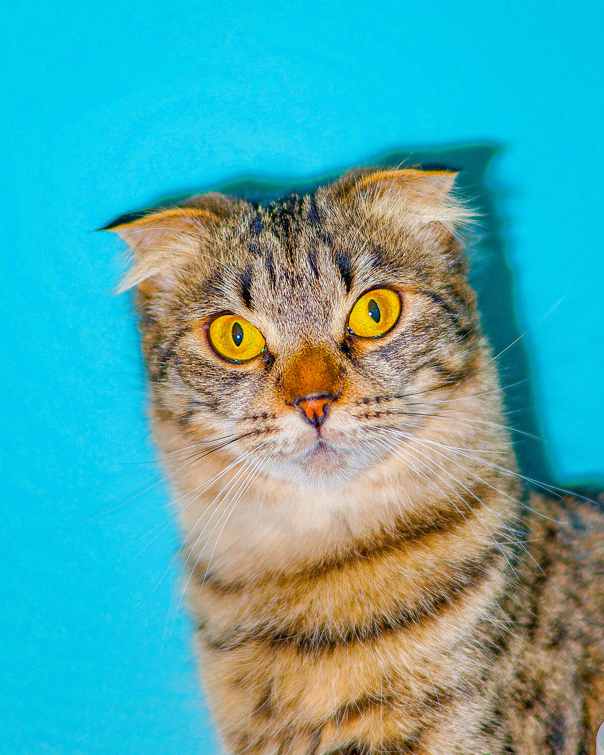 Photo #14044786