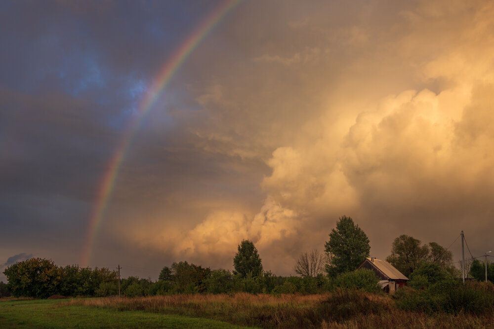 Photograph by Алексеев Дмитрий