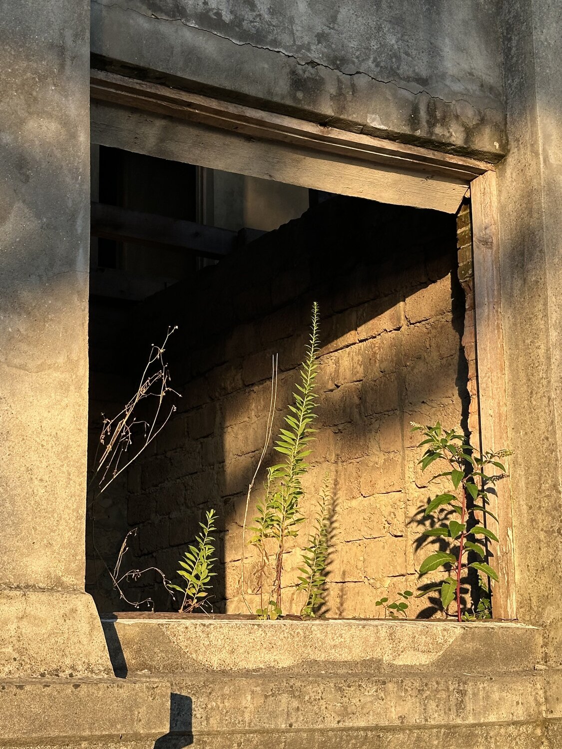 Photo #14044794