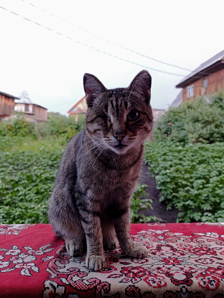 Photograph by Наталья Смирнова