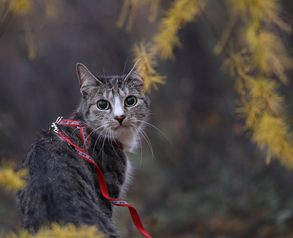Photograph by Евгения Левина