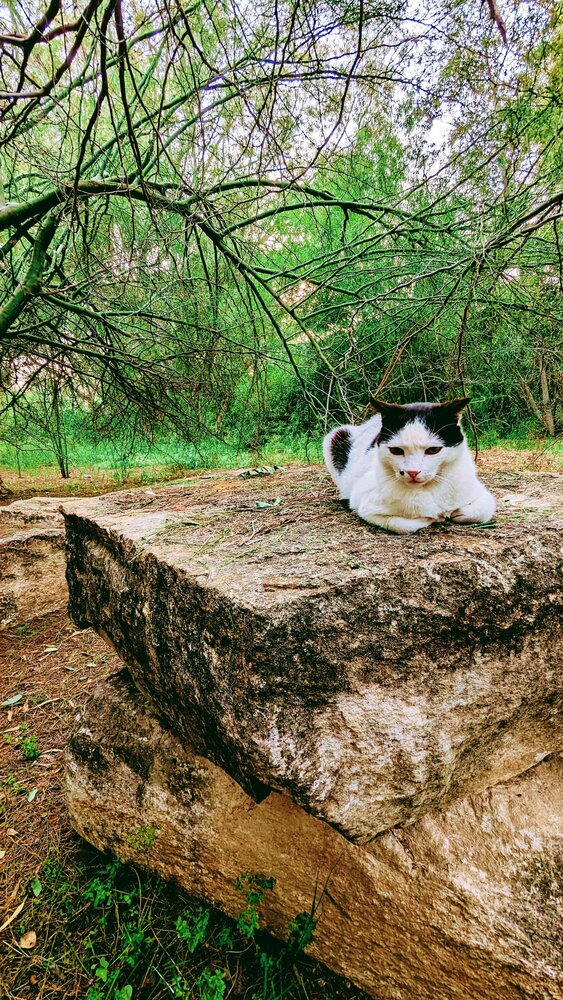 Photograph by Georgia Solomou