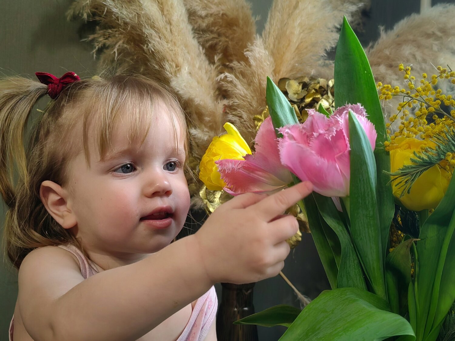 Photo #14044858