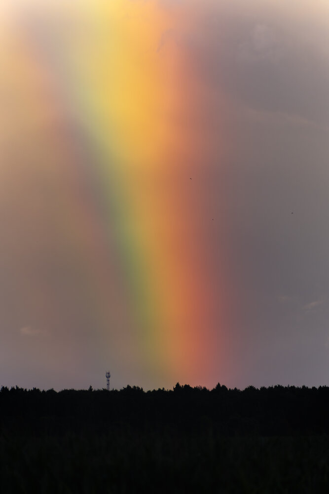 Photograph by Владимир Портуаров