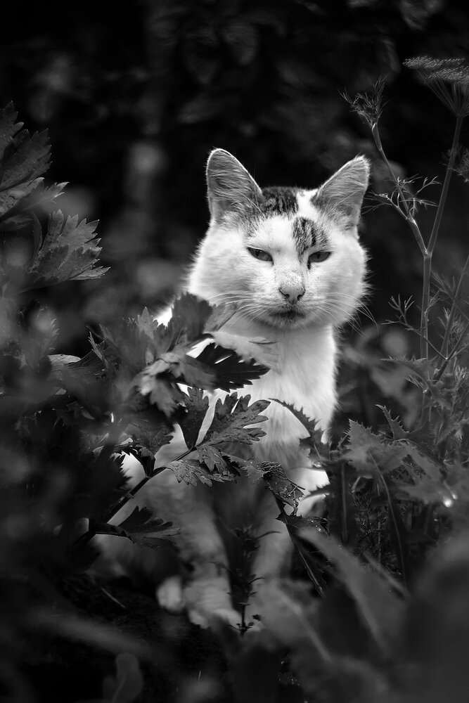 Photograph by Илья Борзенков