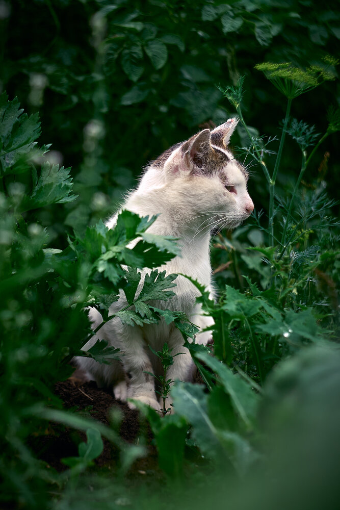 Photograph by Илья Борзенков