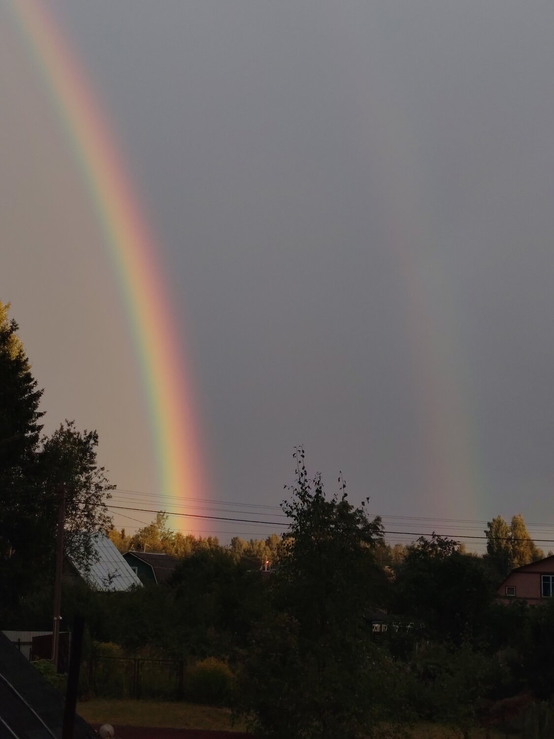 Photo #14044950