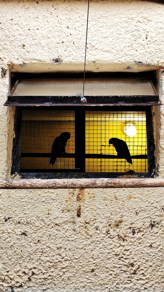 Photograph by Анна Кош