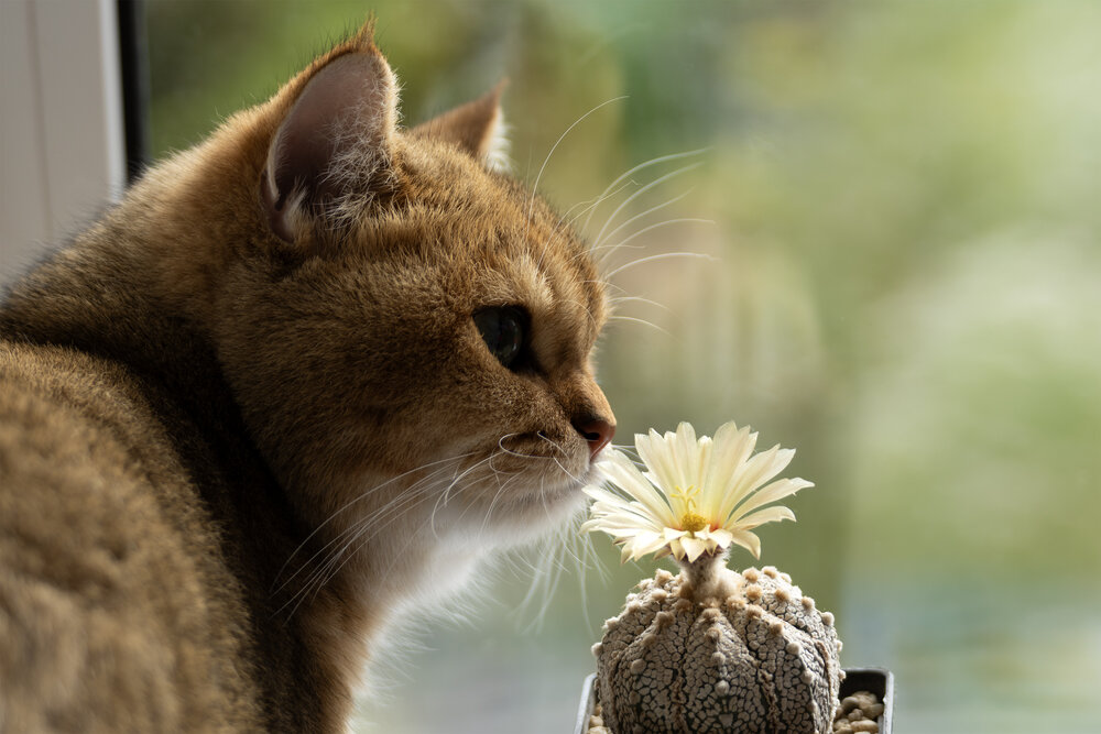 Photograph by Шевелева Юлия