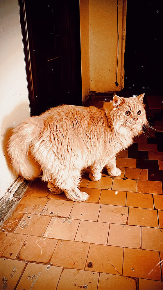 Photograph by Олеся Старицкая