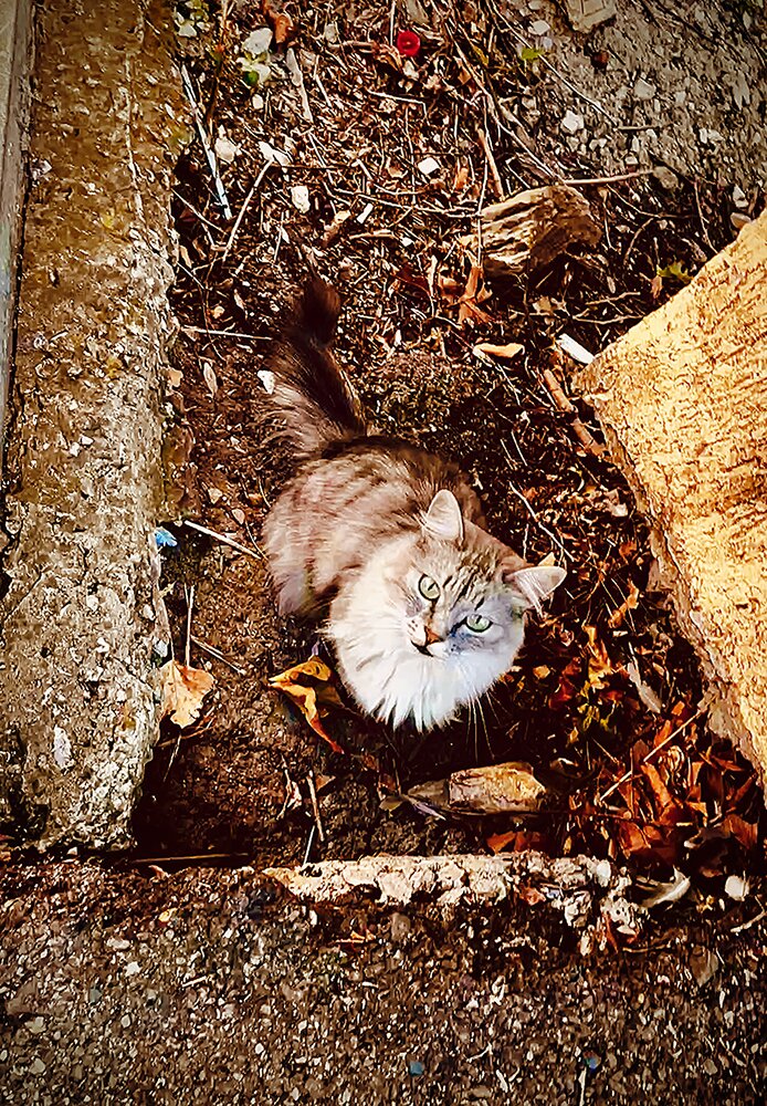 Photograph by Олеся Старицкая