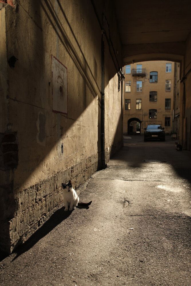 Photograph by Anton  Lavrentiev