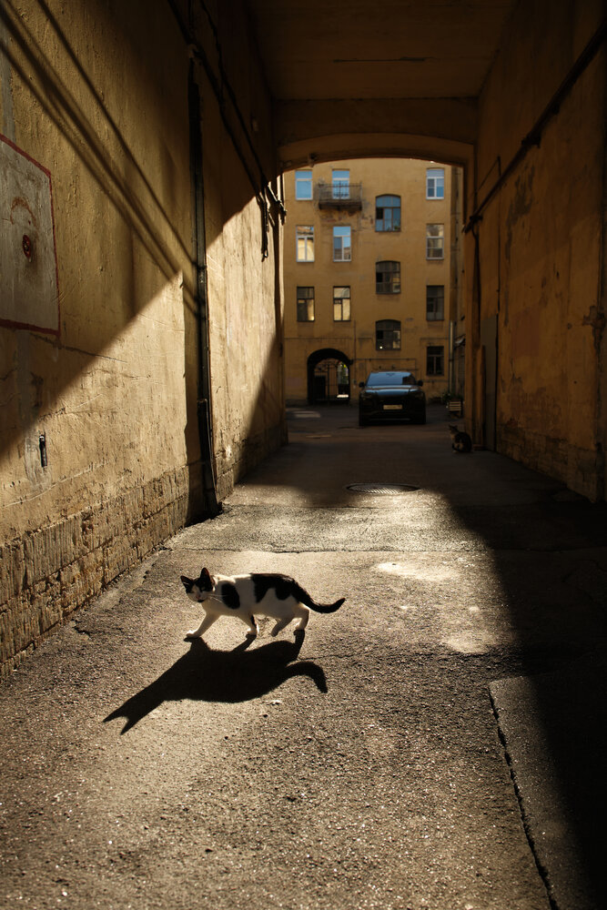 Photograph by Anton  Lavrentiev