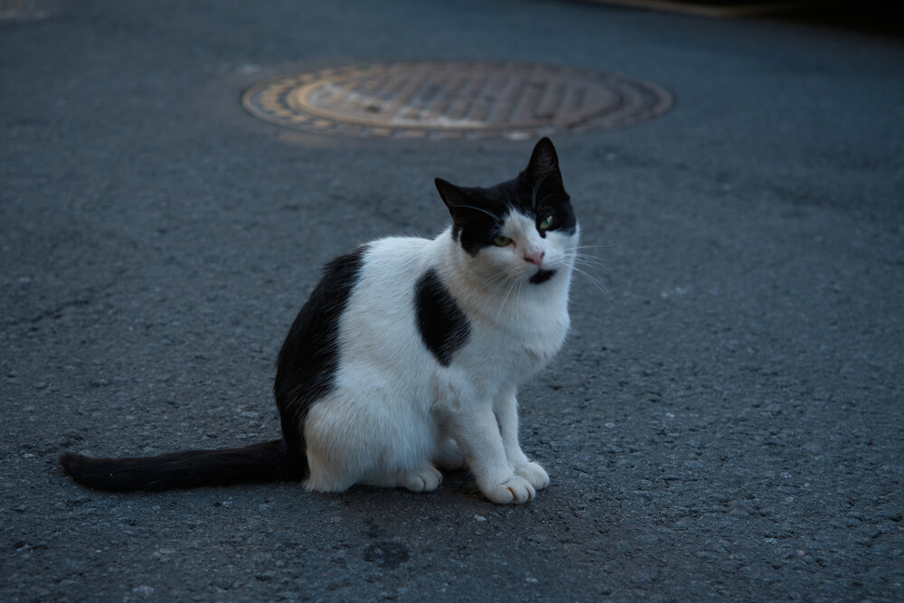 Photograph by Anton  Lavrentiev